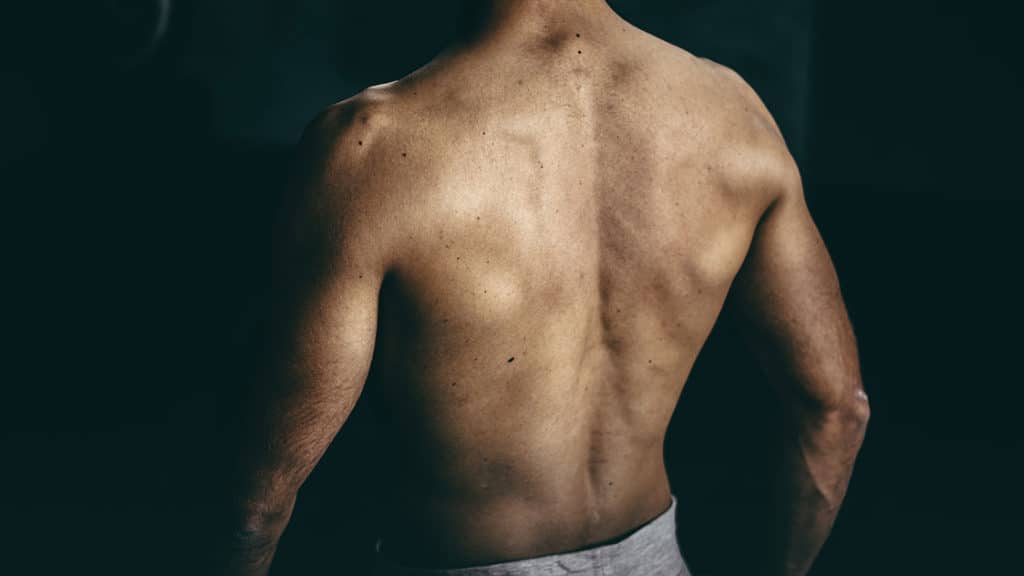 The best back exercises at home [+ videos] - POWERING OFFROAD
